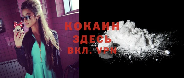 бошки Новозыбков