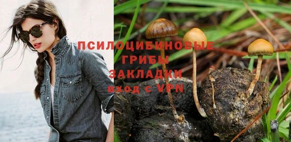 бошки Новозыбков