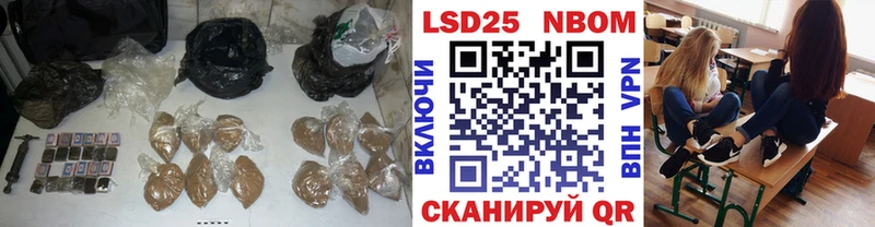 Купить  Новотитаровская  Лсд 25 экстази кислота 