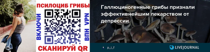 Галлюциногенные грибы Psilocybine cubensis  Купить где  Новотитаровская 